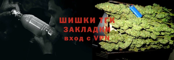 тгк Горно-Алтайск