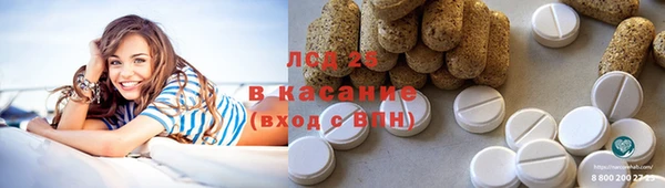 стаф Гусь-Хрустальный