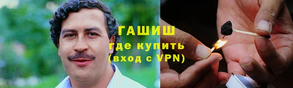 стаф Гусь-Хрустальный