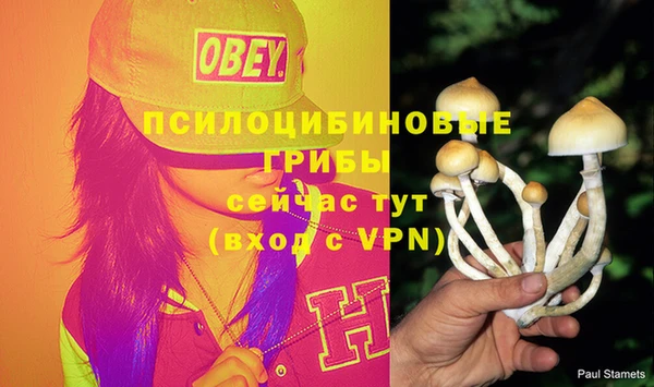 тгк Горно-Алтайск