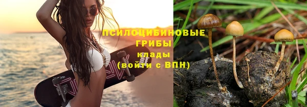 стаф Гусь-Хрустальный