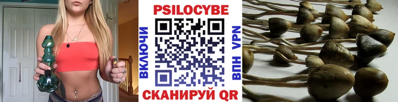 Псилоцибиновые грибы прущие грибы Мценск