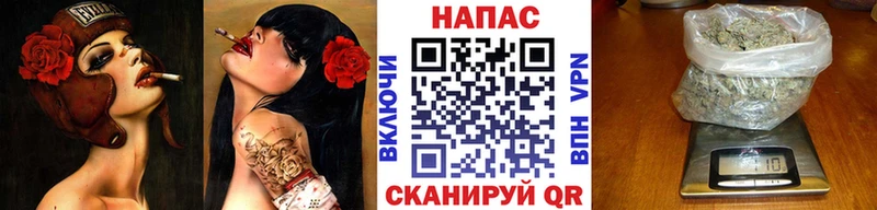блэк спрут как войти  Мценск  Шишки марихуана планчик 